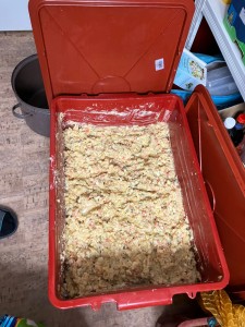 WhatsApp Image 2023-12-16 at 12.40.06.jpeg